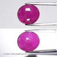 Ruby cabochon held in tweezers showing body color and surface
