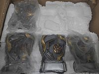 Six trophies in plastic sleeves within styrofoam insert