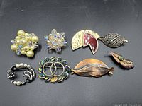 All eight brooches overview