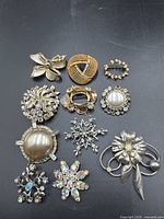 Group image of all eleven brooches arranged on black surface