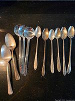 Full group of 14 spoons laid out on dark countertop