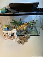 Overall view of glass tank with decorations, filter, tubing, conditioner bottle, rocks