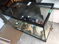 Glass terrarium with black metal mesh cover showing interior contents including heat lamps and decorative elements.