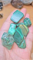 Six polished malachite stones in hand showing size and banding