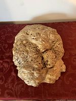 Top view of burl wood slab showing rounded, textured surface