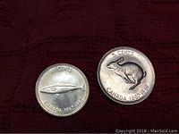 Two Canadian coins from 1967 Centennial Series side by side on a dark textured surface: the 10-cent silver coin with fish design and the 5-cent nickel coin with rabbit design.