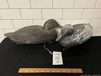 Both plastic duck decoys side by side with ruler for scale