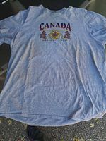 Full front view of t-shirt showing color, size, and graphic