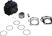 Full kit showing cylinder, piston, gaskets, rings, wrist pin, circlips