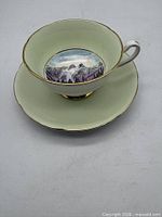 Teacup on saucer, full view