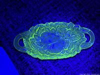 Dish under UV light showing fluorescence