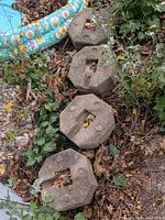 Four octagonal concrete deck pier blocks lined in groundcover