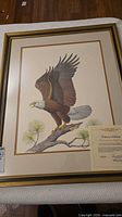 Full view of framed bald eagle print showing image, mat, frame and certificate