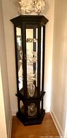 Full view of black glass curio cabinet in corner, showing upper and lower sections