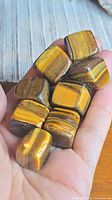 Hand holding nine polished tiger's eye cube stones