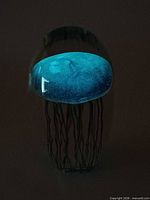 Paperweight glowing blue in dark environment