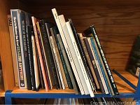 Photo displaying artist and photography books arranged on shelf showing titles and condition.