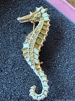 Full view of gold-tone seahorse brooch on display surface