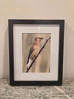 Front view showing full photograph, mat and frame