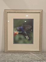 Full view of framed photograph showing matting and frame detail