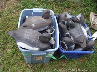 Two plastic totes containing 15 plastic duck decoys with varying paint details and weights.