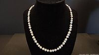 Full view of the pearl necklace on display bust