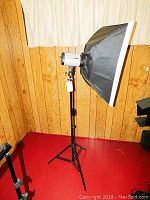 Full view of the Neewer 250DI flash light mounted on an adjustable tripod stand with softbox diffuser attached, showing overall setup against a wood paneled wall.