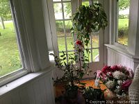 Three living plants in pots and hanging basket, plus three artificial floral displays on floor by door.