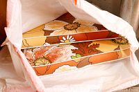 Top view of the cushions inside a white plastic bag showing the floral pattern with orange and green colors and orange edge piping.