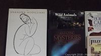 Photo showing The Unknown Modigliani art book, Wild Animals of North America, Amazing Mysteries of the World, and part of Jelly Belly and Horse Care books.