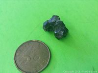 Photo of a small dark garnet mineral cluster next to a Canadian 5-cent coin for scale. Garnet crystals are rough with multiple facets.
