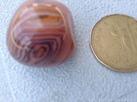 Close-up image of a polished tumbled banded agate stone with natural orange, brown, and cream colored concentric bands, placed next to a Canadian one-dollar coin for size reference.