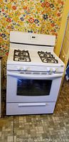 Full view of white Frigidaire gas stove showing 4 burners with metal grates and oven door with window.