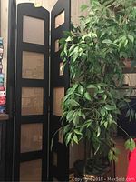 Black Fame Wall folding room divider with three panels and rectangular cut-out windows photographed with faux plant.