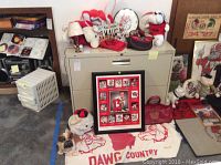 Overview of Georgia Bulldogs memorabilia including plush toys, framed photo collage, fan gear, and rug with 'Dawg Country' text.