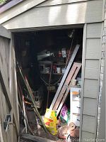 View inside the shed showing leaning 4-foot wooden ladder, long-handled garden tools including shovels and rakes, shelves with various containers and small items, and a white 3-drawer wood unit on the right.