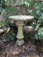 Full view of the cement bird bath standing in a garden area with leaves and plants around it.