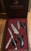 Overall view of three knives in wooden collector box with red felt lining, box lid open showing Winchester Limited Edition 2007 branding.