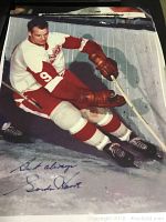 Color canvas nylon print depicting hockey player Geordie Howe in red and white uniform with facsimile autograph in blue ink at bottom left.
