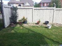Wide shot of backyard showing some plant pots placed on the ground against a white wooden fence, cluster of 5 pots including black, white, and terracotta colors.