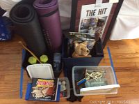 Photo of black storage bin with plush dog toy, pair of yellow dumbbells, workout mats rolled and standing, plastic storage boxes with keys and other small items, and a framed outback bowl poster.