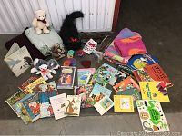 Overview of children's books, stuffed animals, troll doll, towels, and pet items arranged on floor.