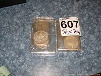 Two plastic cases holding Canadian silver one dollar coins with visible wear and tarnish.