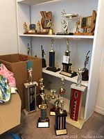 Photo showing a white shelving unit holding various trophies including golf, pool/snooker, bowling trophies. Some trophies have wooden bases and plaques. A cardboard box to the left contains more trophies.