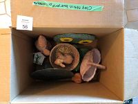 Top-down view of a cardboard box containing assorted garden figurines made from resin, clay, and metal. Visible shapes include mushrooms, a bird, and floral pieces.