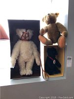 Three Steiff bears shown in a display: white Maulkorb Teddy with muzzle in box, light brown teddy sitting on a box, black bear cub with red collar and leash in box.