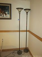 Full view of two tall floor lamps standing side by side near a wall with power cords visible on floor.