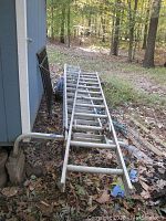Photo showing one aluminum extension ladder laid on ground beside blue shed with wooded background.