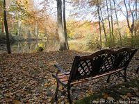 Photo showing the bench placed outdoors near a pond with fall leaves around, highlighting overall look and setting.