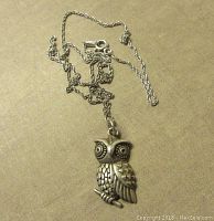 Full view of the owl pendant and the chain laid out showing the entire length and pendant details.
